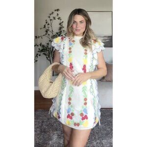 FARM RIO x Anthropologie Embroidered Ruffle Mini Dress in At The Table Small NWT
